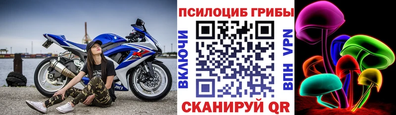 Купить где  Муром  Галлюциногенные грибы прущие грибы 